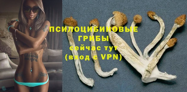 не бодяженный Вяземский