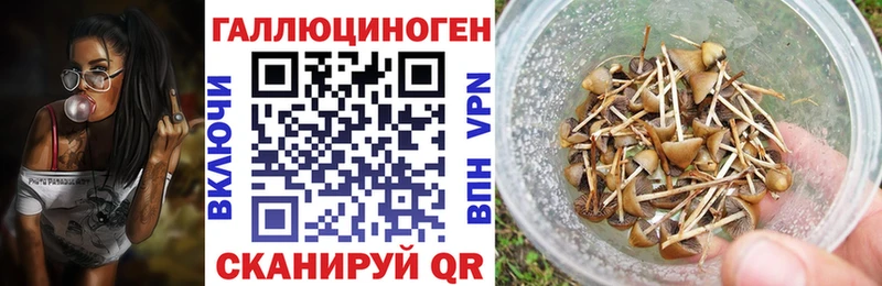 Галлюциногенные грибы прущие грибы  Купить где  Пудож 